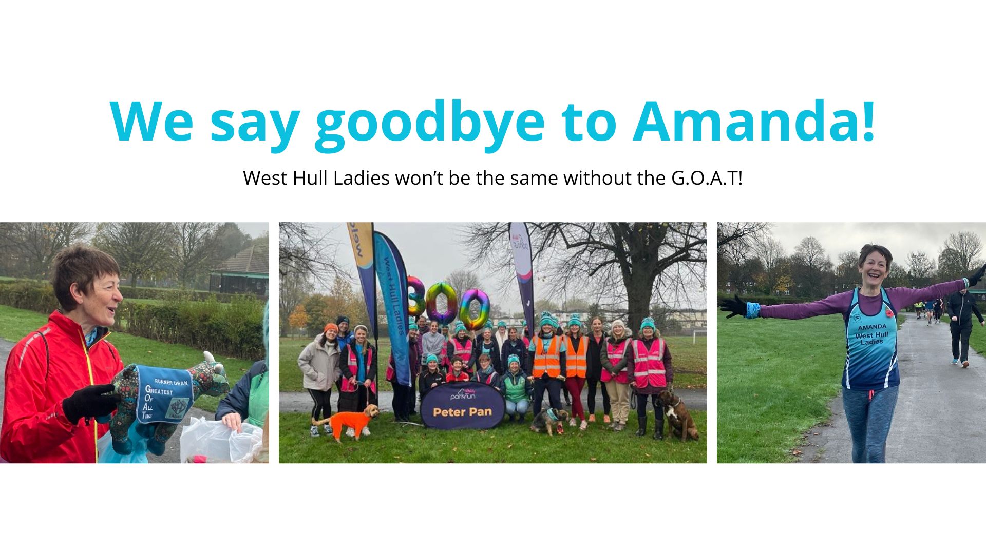 Goodbye Amanda
